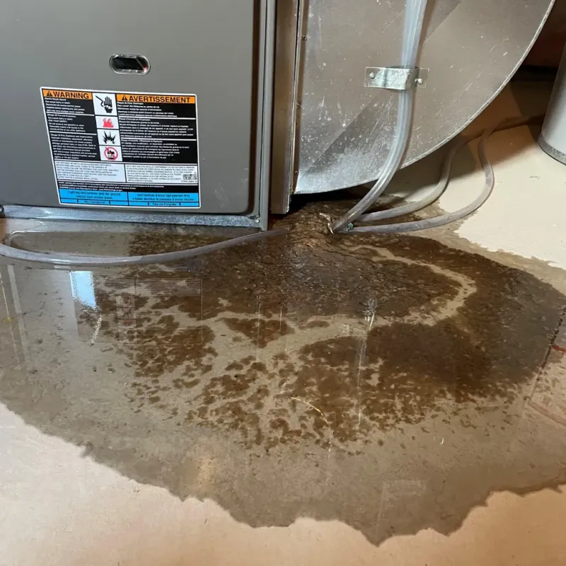 Appliance Leak Cleanup in Thomasville, NC